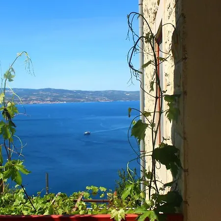Dalia