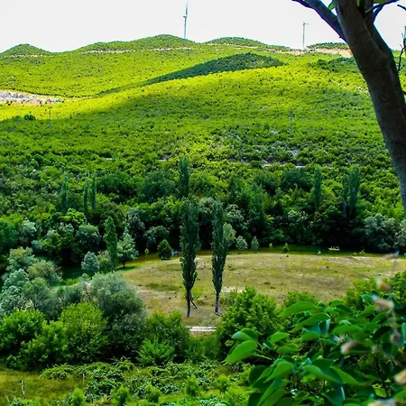 Dalia * オミシュ