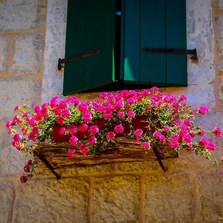 Dalia アパート オミシュ