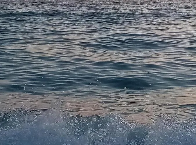 شقة Dalia أوميس